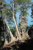  Architecture, Asia, Cambodia, Color, Colour, Daytime, Exterior, Outdoor, Outdoors, Outside, Ruins, Travel, Travels, Tree, Trees, World locations, World travel, F33-438879, agefotostock 