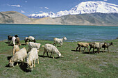Karakul (Karakoul) lake (3500m altitude) and Mustagh-Ata mountain (7546m). Sinkiang Province (Xinjiang). China