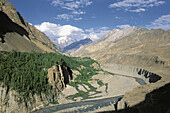 Hunza Valley. Northern Areas (aka Gilgit-Baltistan), Pakistan