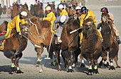 Mongolia. Gobi desert. Dalanzadgad area. Moron village. Camel festival. Mongolian new year. Polo tournament.