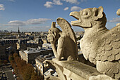 Notre Dame gargoyles overlooking Paris. France