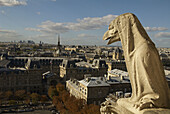 Notre Dame gargoyle overlooking Paris. France