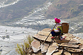 China, Yunnan, Yuanyang, terraced paddy-fields. Yi ethnic group woman.