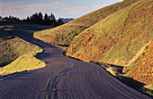 Bolinas Ridge road, toward the top of Mount Tamalpais. California, USA