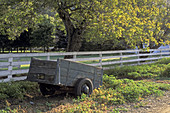 Abandoned haul trailer on the Nature Conservancy Ranch, Santa Cruz Island, Channel Islands, California