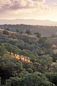 Clouds at sunset over golden hills and oak trees, Mount Diablo State Park, Contra Costa, California