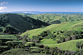 Rolling green grass field pasture hills of the Central Coast in spring overlooking the Pacific Ocean, near Cambria, California