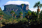 Kurun-Tepui. Canaima National Park. Venezuela