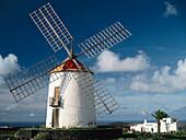 Windmill. Tiagua, Lanzarote. Canary Islands. Spain