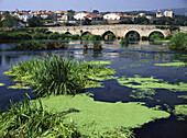 Zadorra River in Villodas. Alava. Euskadi, Spain