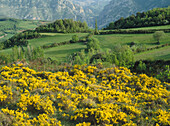 Gerri de la Sal. Lleida province, Spain