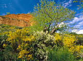 Las Médulas. León province, Spain