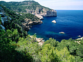 Es Amunts area. Ibiza, Balearic Islands. Spain