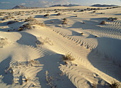 Corralejo dunes. Fuerteventura Island. Canary Islands. Spain