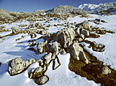 Covadonga National Park. Asturias. Spain