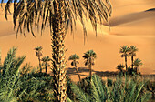 Um Al Ma. Dawada. Sahara Desert. Libya
