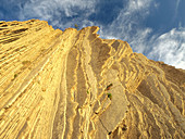 Coastal flysh rocks. Guipúzcoa. Spain