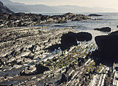 Coastal flysh rocks. Guipúzcoa. Spain