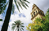 Minaret tower of the Great Mosque. Córdoba. Spain