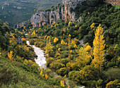 River Areta. Foz de Ugarron in autumn. Sierra de Leyre. Navarre. Spain