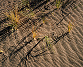 Great Sand Dunes National Monument. Colorado. USA