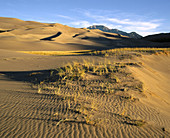 Great Sand Dunes National Monument. Colorado. USA