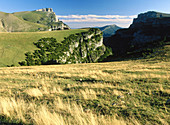 Cañón de Añisclo. Ordesa National Park. Huesca province. Aragón. Spain.