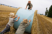  Agriculture, Amusement, Balance, Bale, Bales, Blond, Blonds, Boy, Boys, Brother, Brothers, Caucasian, Caucasians, Child, Childhood, Children, Color, Colour, Companion, Companions, Contemporary, Country, Countryside, Cultivation, Daytime, Dried, Dry, Equi