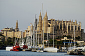 Cathedral view. Sunset at the Palma bay. Mallorca. Balearic Islands. Spain.