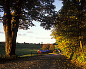 Scenic road & fall foliage, Jenne farm, Reading, Vermont, USA.