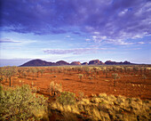 Scenic olgas, Kata tjunta national park, Northern territory, Australia.