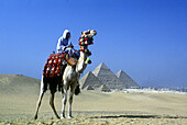 Arab on camel, Great pyramids, Giza ruins, Cairo, Egypt.