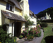 Cottage, Selworthygreen village, Somerset, England, UK