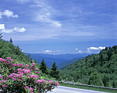 Newfound gap road, Great smoky mountains national park, Tennessee, USA.