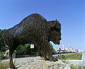 Buffalo, & downtown, White river State Park, Indianapolis, Indiana, USA.
