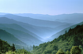 View from Newfound Gap Road, Great Smoky Mountains National Park. North Carolina, USA