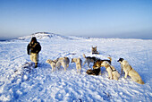 Inuit with sled and dog team in landscape. Jakobshavn. Greenland