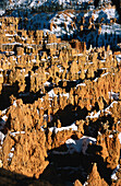 Bryce Canyon. Utah. USA