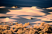 Death Valley NP. California. USA.