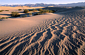 Death Valley NP. California. USA.