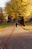 Woman walking through the Boston Commons in Boston. Massachusetts. USA