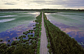 Great Meadows National Wildlife Refuge, which stretches more than 10 miles along the Concord River in Concord, Massachusetts. USA.