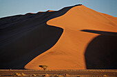 Sossusvlei dunes. Namib-Naukluft Park. Namibia