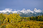 Teton range in autumn. Cottonwoods and willow scrub. Grand Teton National Park. Wyoming. USA