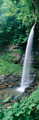 Lower Falls of Hills Creek. Monongahela National Forest. West Virginia. USA