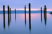 Sunrise over harbor pilings. Sidney-by-the-Sea. British Columbia, Canada
