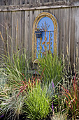 Collection of grasses in front of false window in alley fence. Bellingham, WA.