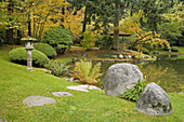 Boulders w/ ferns at pond edge; family viewing pavilion & cherry tree under Douglas-fir bkgnd, autumn (Prunus sp.; Pseudotsuga menziesii). Nitobe Memorial Garden, UBC, Vancouver, BC.