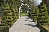Topiary conifers frame arch leading to lawn. Minter Gardens, Chilliwack, BC.