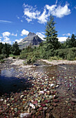 Swiftcurrent Trail. Glacier National Park. Montana Northern. USA.